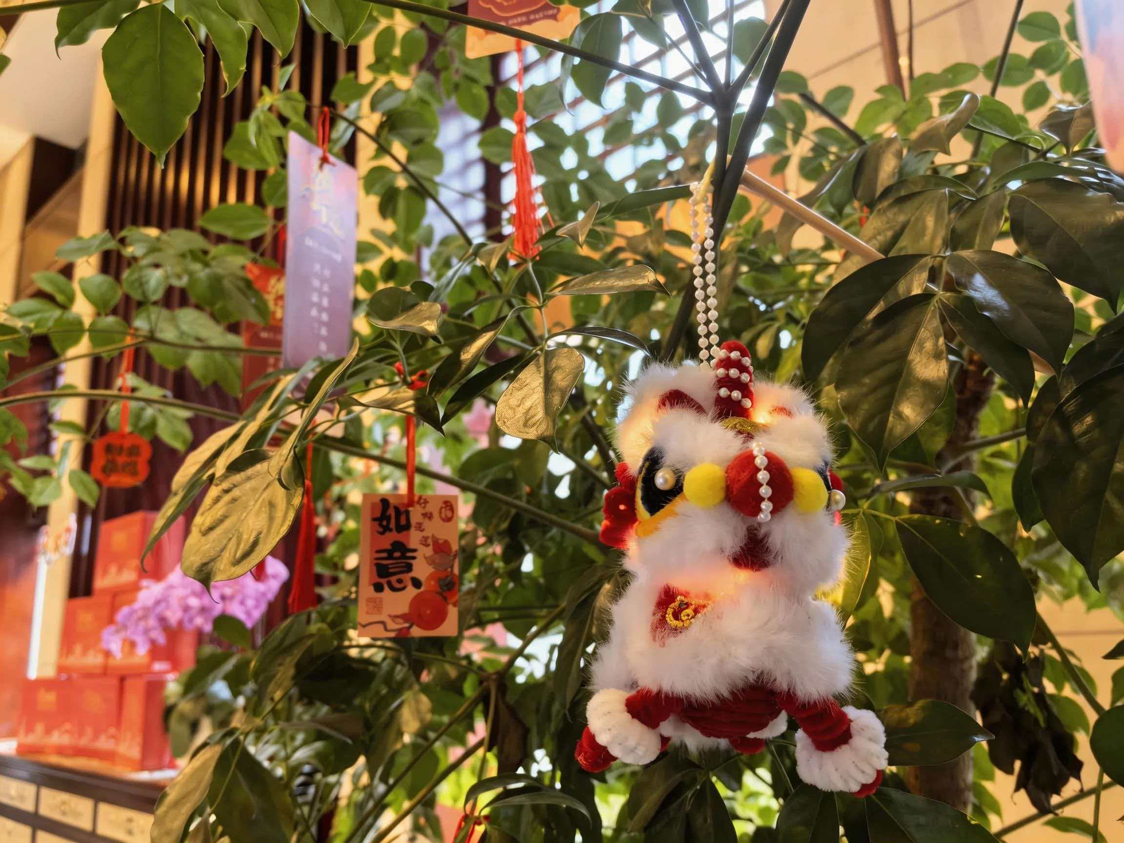 1772415762184140.jpg 00705864424f81805900fb64b0ead5c1.jpg